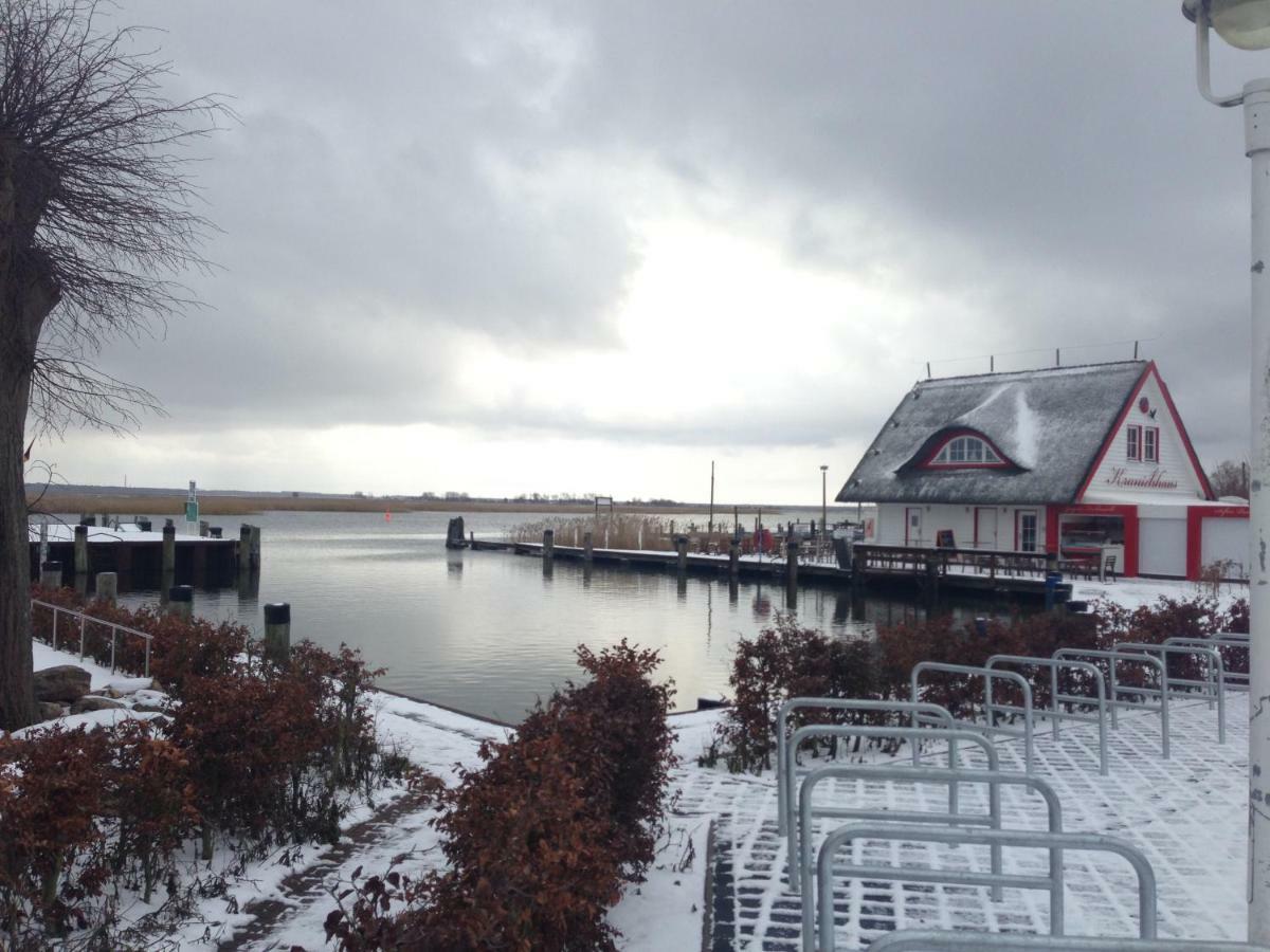 Fewo Am Alten Hafen - Zingst Ostseebad Eksteriør billede